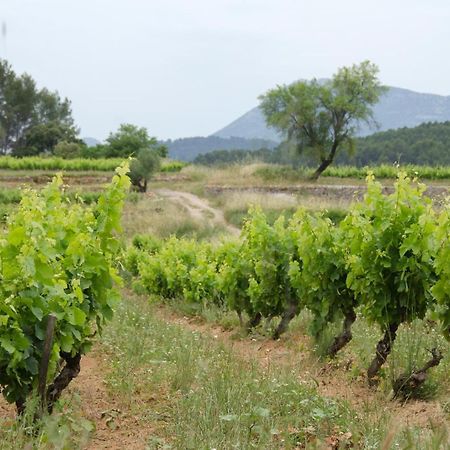 La Maison De Campagne Carcès Eksteriør bilde