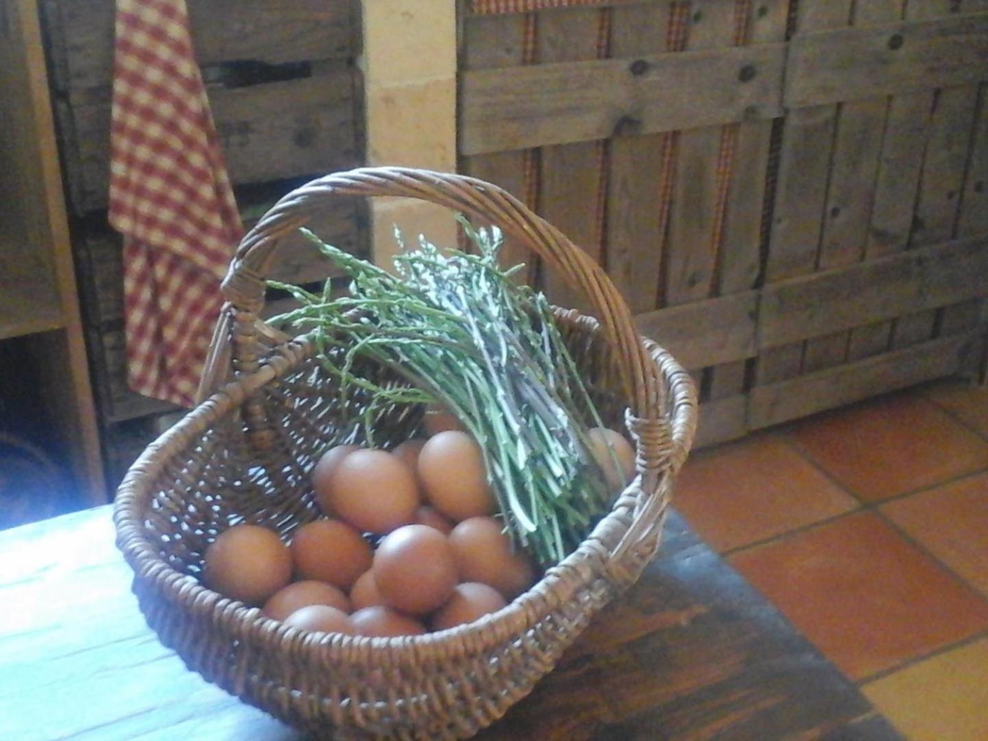 La Maison De Campagne Carcès Eksteriør bilde